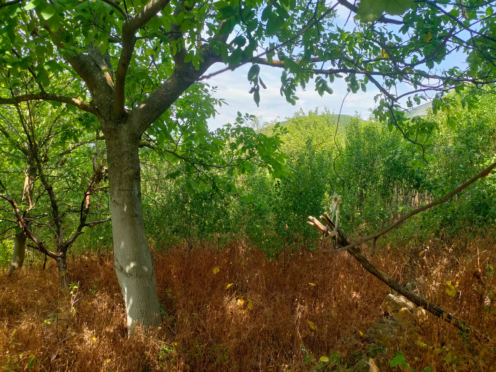 Zemědělská usedlost – fotografie 10